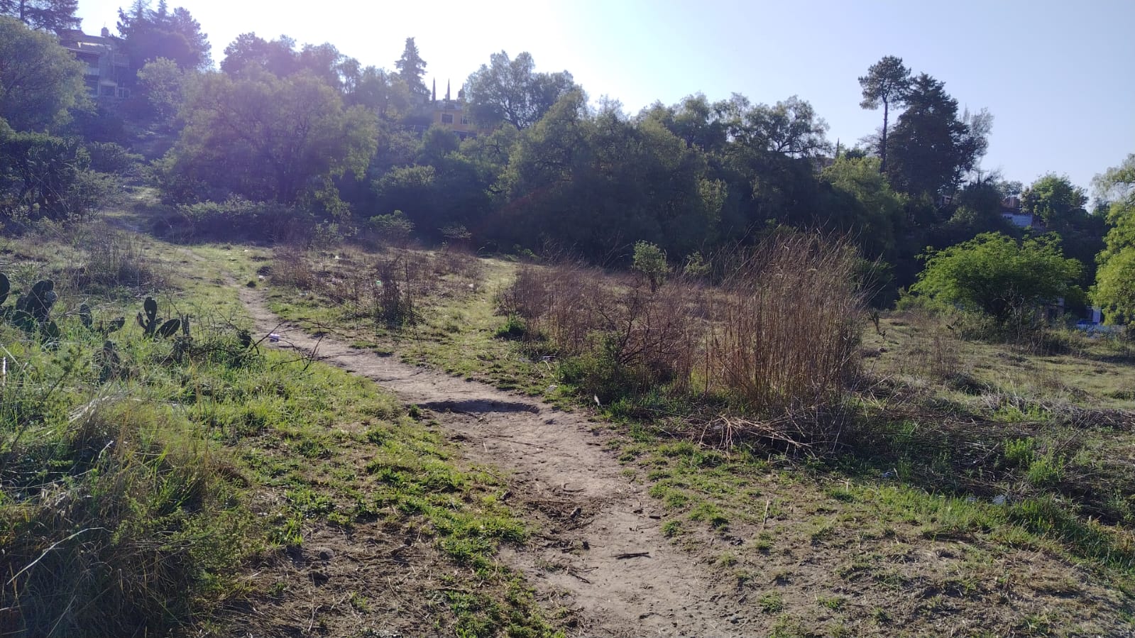TERRENO EN VENTA 10,000M2,  SANTIAGO CUAUTLALPAN, TEPOTZOTLÁN, EDOMEX.