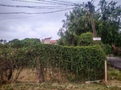 TERRENO EN VENTA EN AXOTLAN, C. IZCALLI 175m2