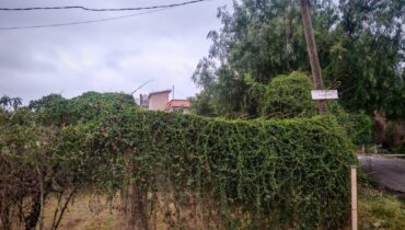TERRENO EN VENTA EN AXOTLAN, C. IZCALLI 175m2
