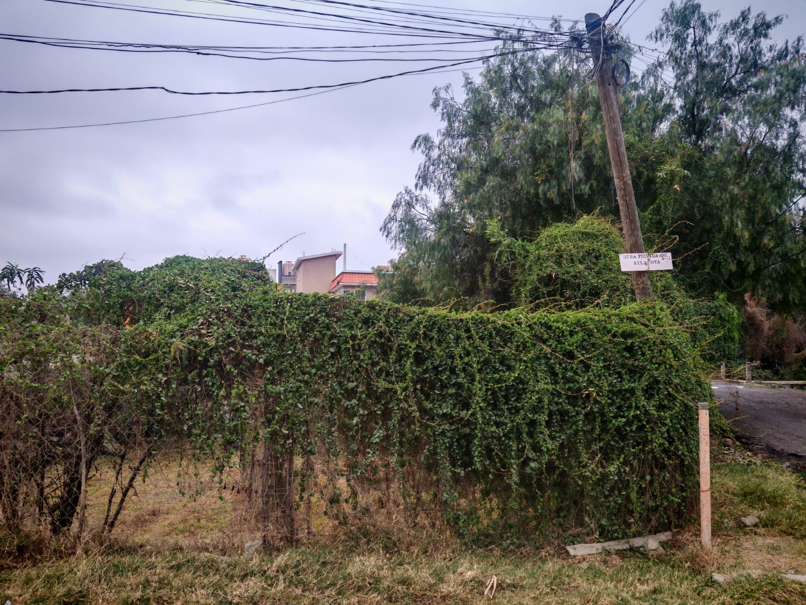 TERRENO EN VENTA EN AXOTLAN, C. IZCALLI 175m2