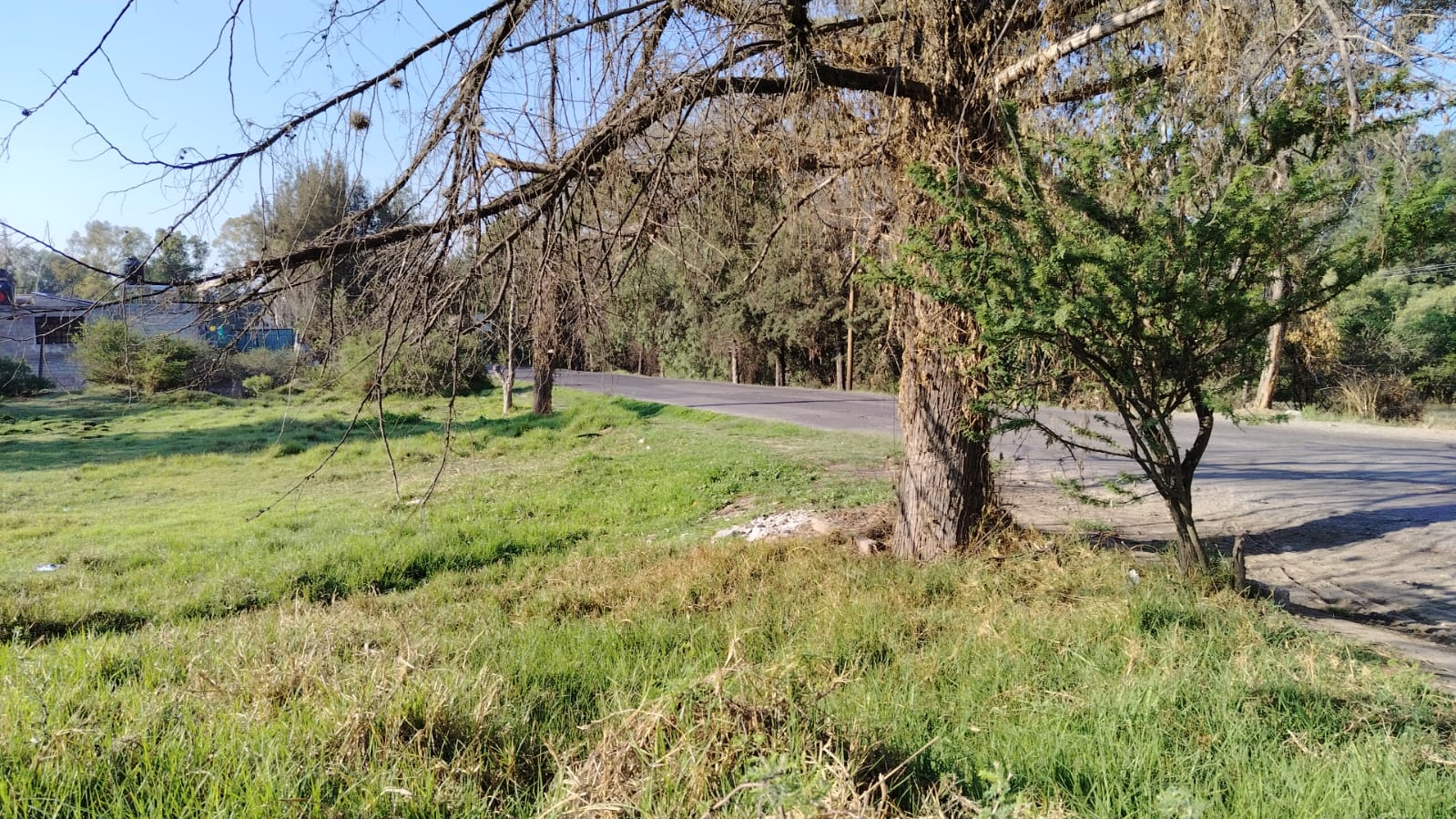 TERRENO EN VENTA 10,000M2,  SANTIAGO CUAUTLALPAN, TEPOTZOTLÁN, EDOMEX.