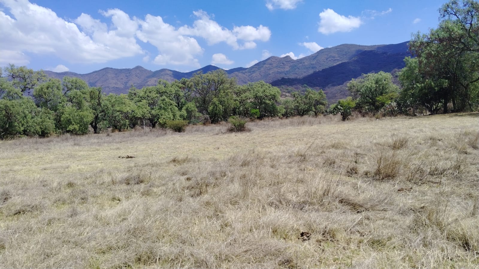 TERRENO EN VENTA, LA ESTANCIA, SANTIAGO CUAUTLALPAN
