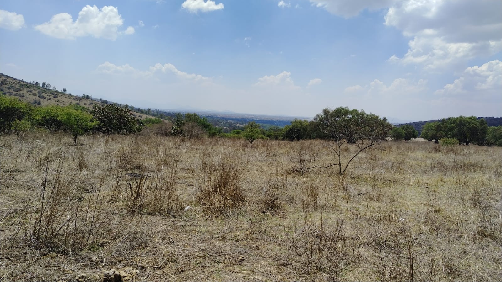 TERRENO EN VENTA, LA ESTANCIA, SANTIAGO CUAUTLALPAN