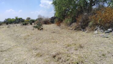 TERRENO EN VENTA, LA ESTANCIA, SANTIAGO CUAUTLALPAN