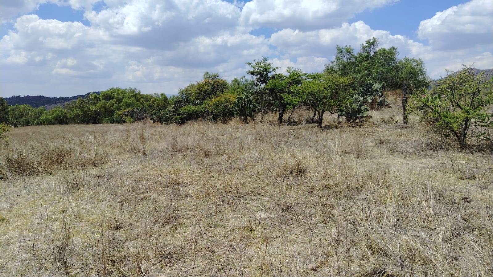 TERRENO EN VENTA, LA ESTANCIA, SANTIAGO CUAUTLALPAN