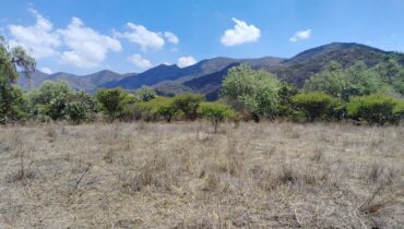 TERRENO EN VENTA, LA ESTANCIA, SANTIAGO CUAUTLALPAN