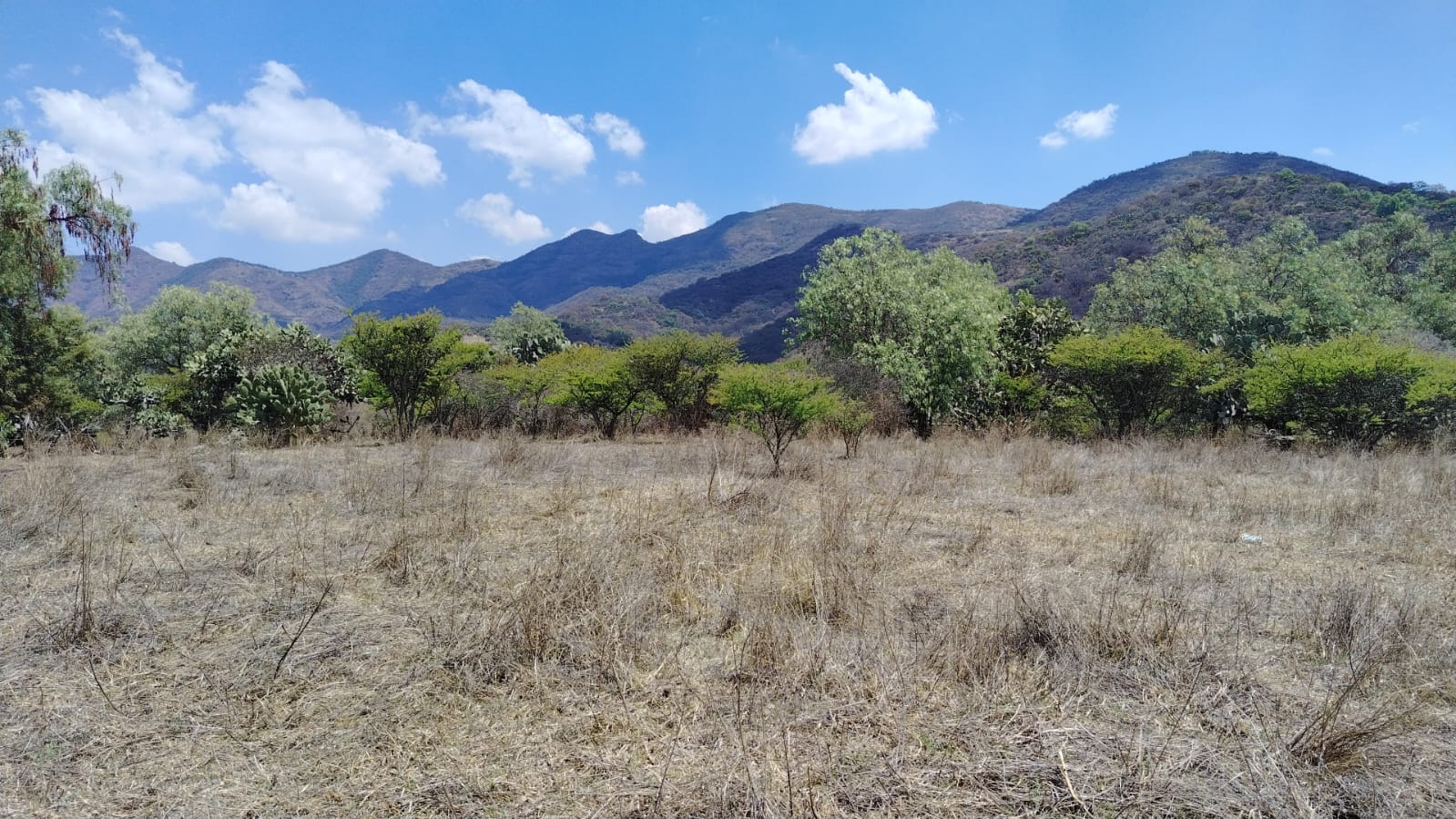 TERRENO EN VENTA, LA ESTANCIA, SANTIAGO CUAUTLALPAN