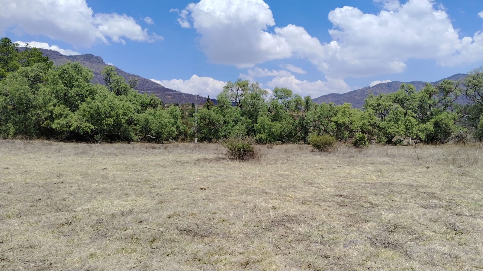 TERRENO EN VENTA, LA ESTANCIA, SANTIAGO CUAUTLALPAN