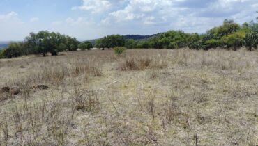 TERRENO EN VENTA, LA ESTANCIA, SANTIAGO CUAUTLALPAN