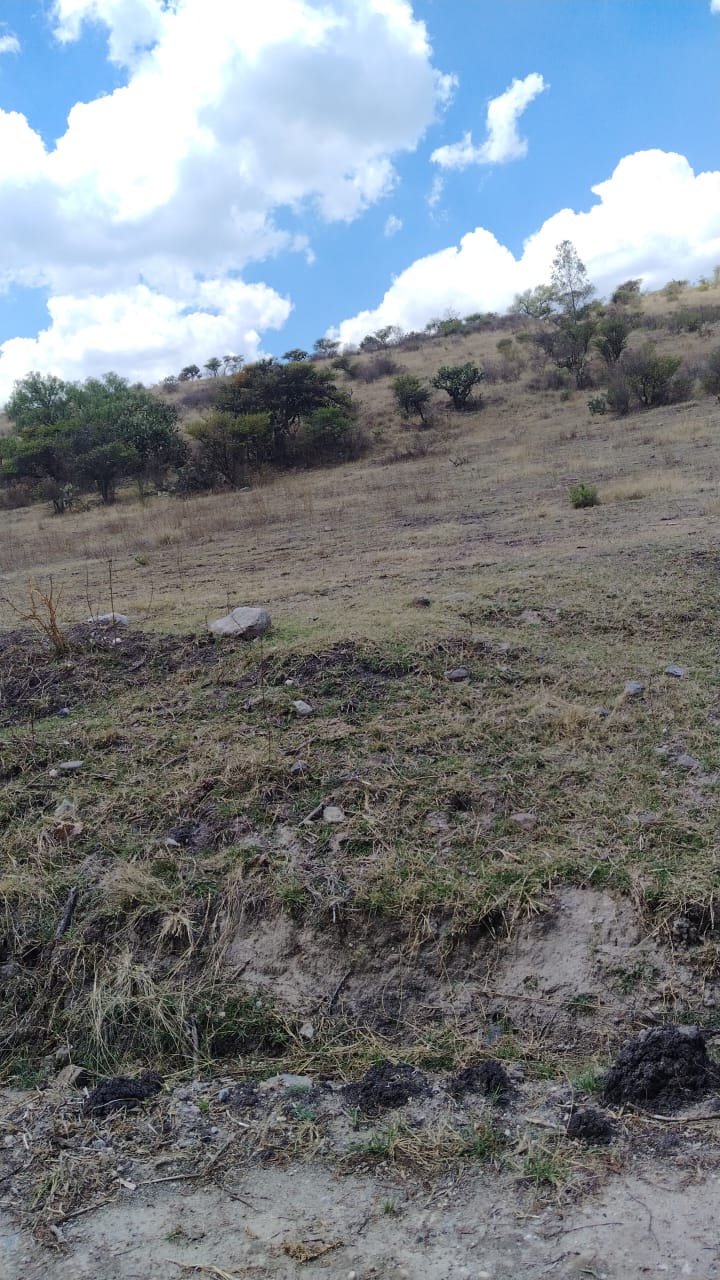 TERRENO EN VENTA, LA ESTANCIA, SANTIAGO CUAUTLALPAN