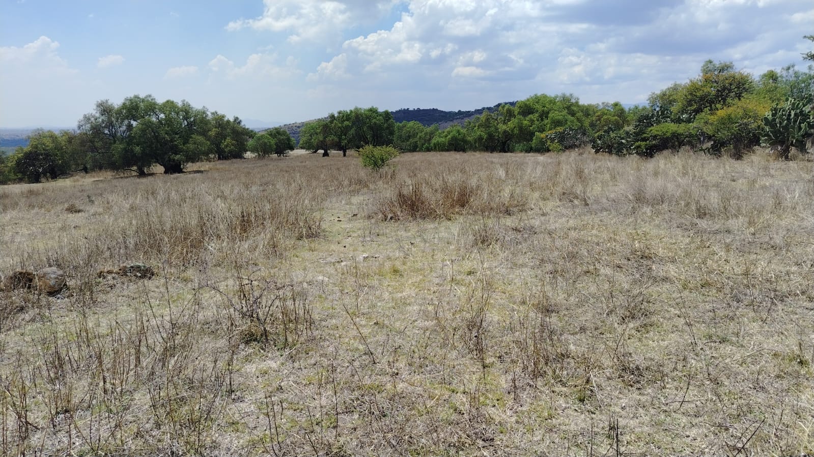 TERRENO EN VENTA, LA ESTANCIA, SANTIAGO CUAUTLALPAN