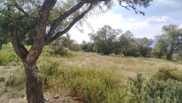 TERRENO EN VENTA DESDE 1,000 M² Y CON FACILIDADES DE PAGO, SANTIAGO CUAUTLALPAN