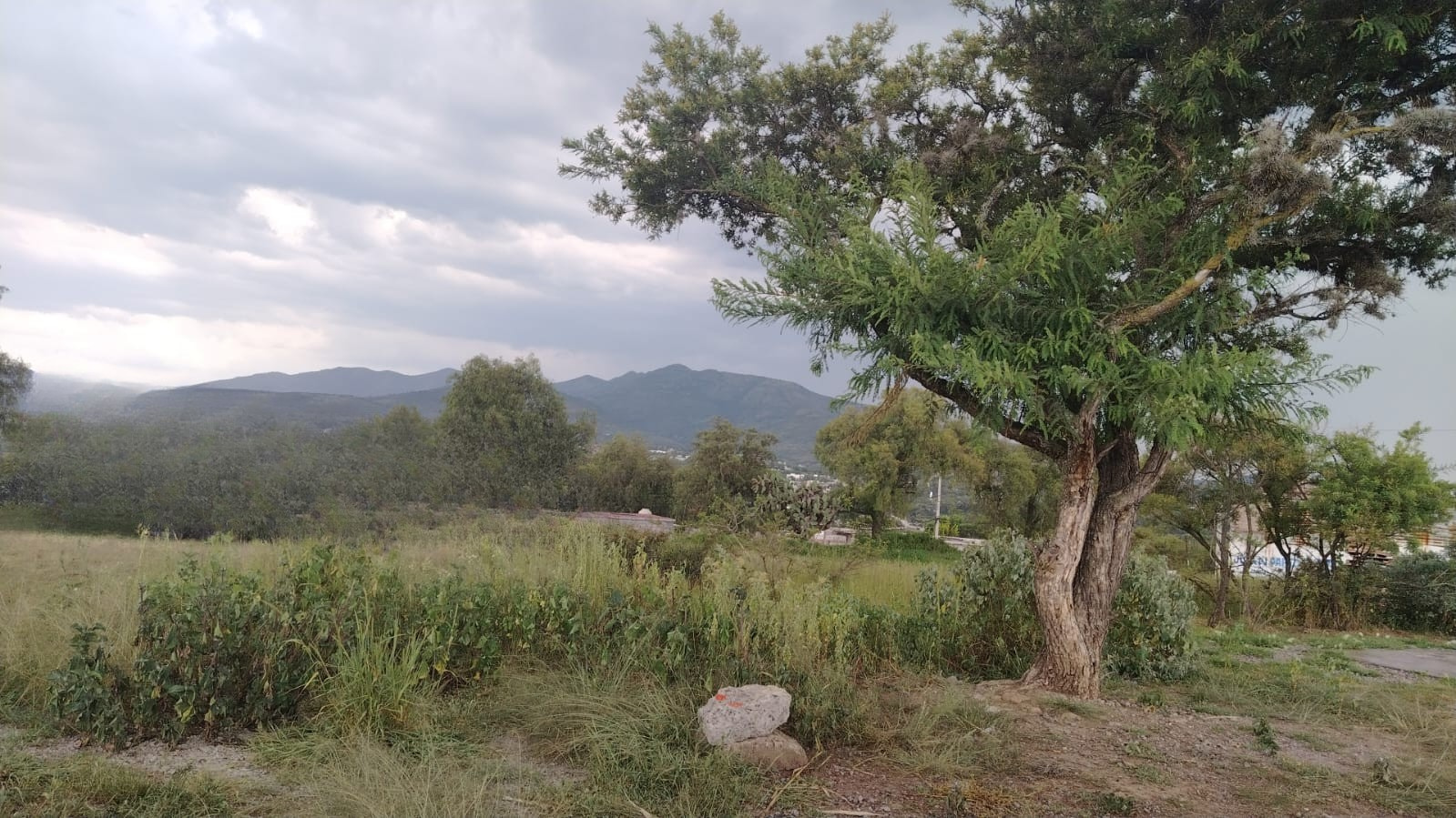 ¡EL TERRENO QUE ESTABAS BUSCANDO! DESDE 1,000 M² Y CON FACILIDADES DE PAGO, SANTIAGO CUAUTLALPAN