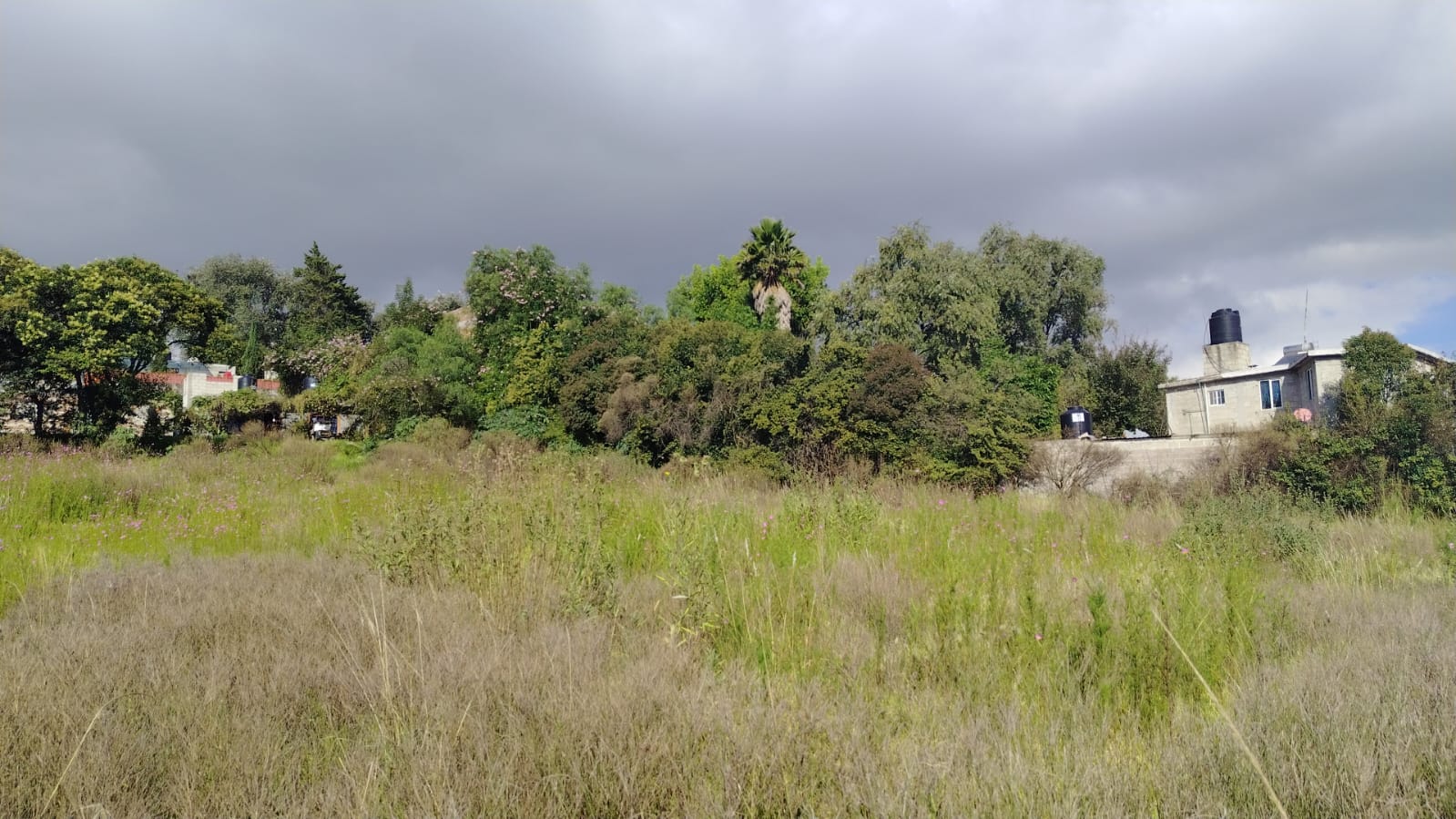 TERRENO EN VENTA 1,500 M2 EN SANTA CRUZ, TEPOTZOTLÁN, EDOMÉX.