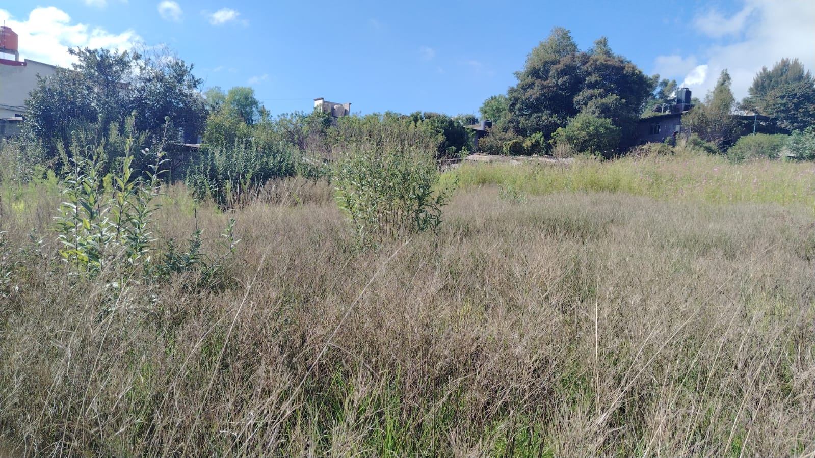 TERRENO EN VENTA 1,500 M2 EN SANTA CRUZ, TEPOTZOTLÁN, EDOMÉX.