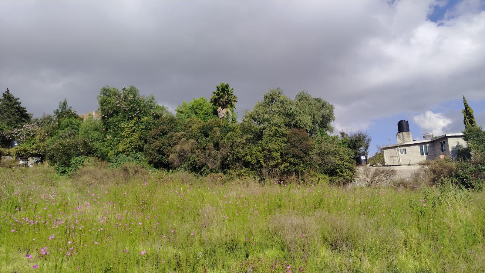 TERRENO EN VENTA 1,500 M2 EN SANTA CRUZ, TEPOTZOTLÁN, EDOMÉX.