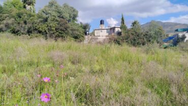 TERRENO EN VENTA 1,500 M2 EN SANTA CRUZ, TEPOTZOTLÁN, EDOMÉX.