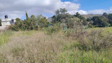 TERRENO EN VENTA 1,500 M2 EN SANTA CRUZ, TEPOTZOTLÁN, EDOMÉX.