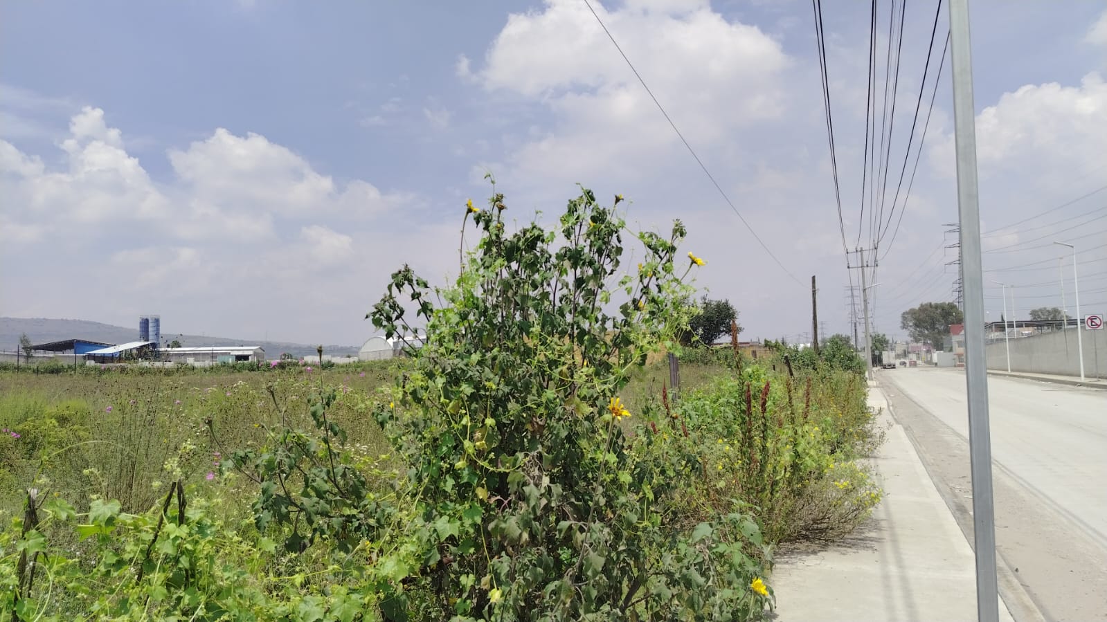 TERRENO EN VENTA 1,500 M2 EN SANTA CRUZ, TEPOTZOTLÁN, EDOMÉX.